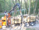 Rotobec Stationary Loader helping to move logs